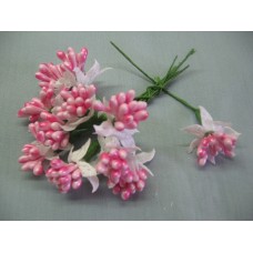 Сложные тычинки (добавки)  белый с розовым. 